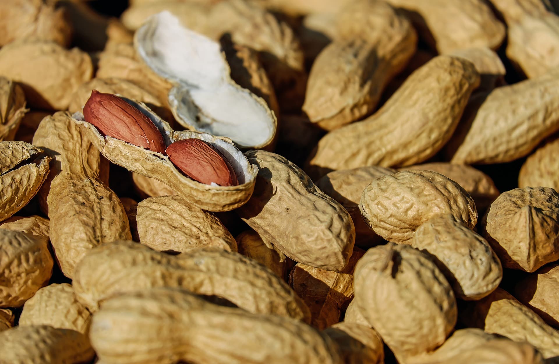 Pseudocast