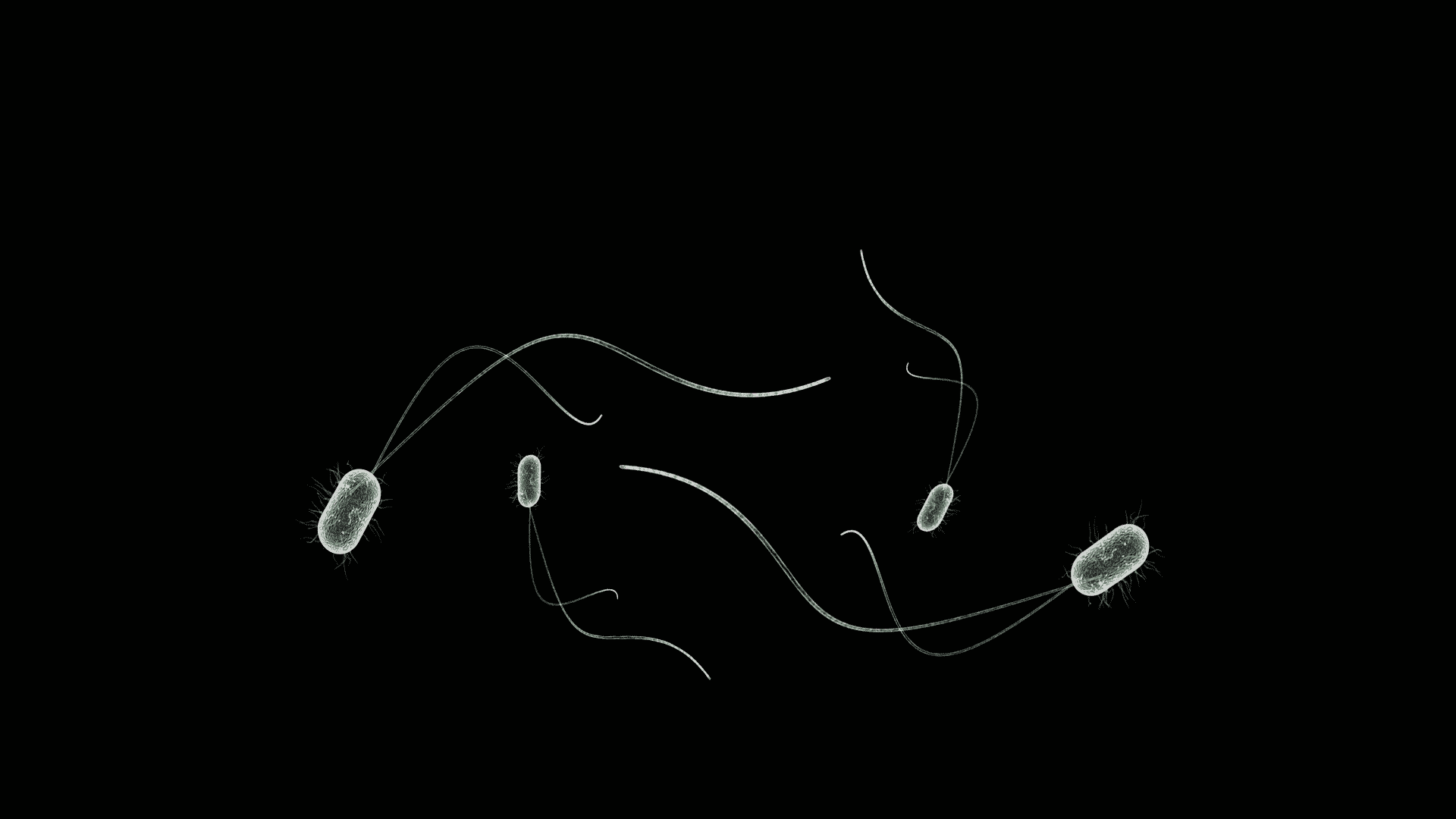 Pseudocast