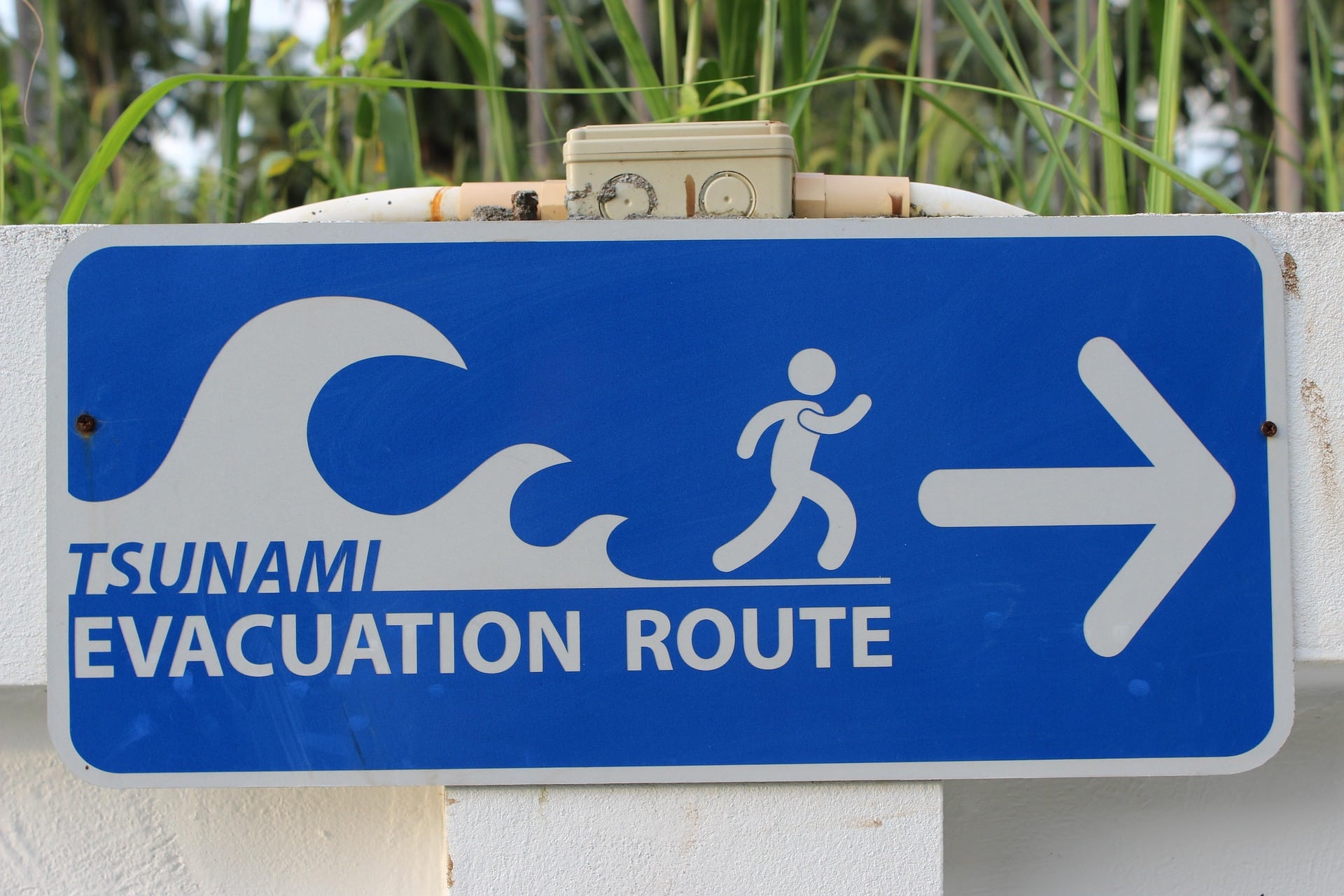 Pseudocast